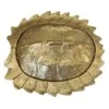 Providence Gold Metal Turtle Shell Box, 5"